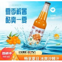 億佳果園沙棘汁沙棘果汁飲料343ml