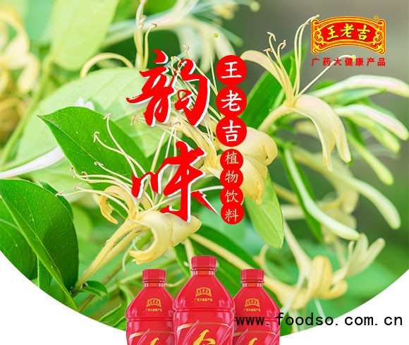 王老吉金銀花植物飲料