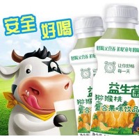 益生菌獼猴桃味復合果味飲品340ml