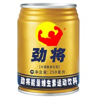 勁將能量維生素運(yùn)動(dòng)飲料250mlx24罐