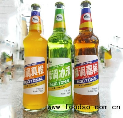 摩調(diào)果味碳酸飲料汽水玻璃商超貨源招商代理