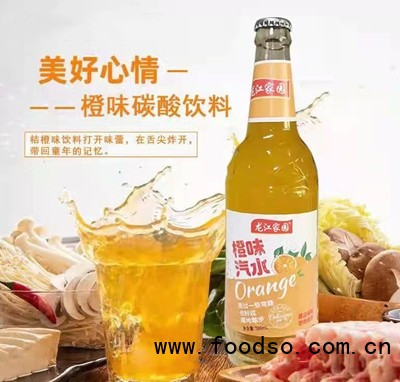 龍江家園橙味汽水580毫升餐飲聚會(huì)玻璃瓶飲品