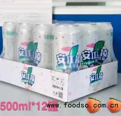 安江陵桃子味碳酸飲料500mlX12罐