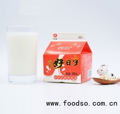 金健乳業(yè)今天好日子乳飲品乳酸菌飲品