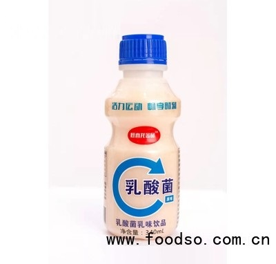 旺喜龍金品原味乳酸菌乳味飲品340ml招商代理