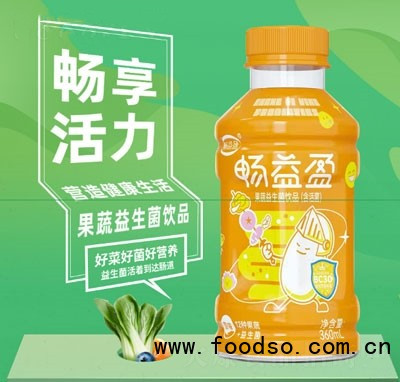 暢益盈果蔬益生菌飲品果蔬發(fā)酵飲品