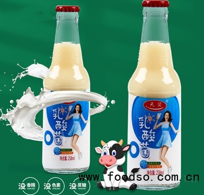 天貝乳酸菌飲品258毫升招商代理批發(fā)