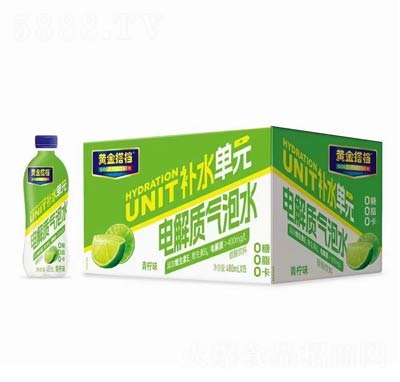 黃金搭檔電解質(zhì)氣泡水青檸味480ml×15