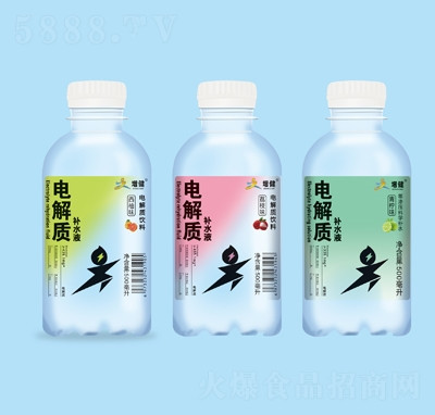 增健電解質(zhì)補水液飲料荔枝味+青檸味+西柚味500毫升