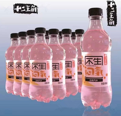 十二主角白桃汽水碳酸飲料480ml