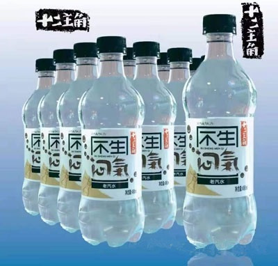 十二主角老汽水碳酸飲料480ml