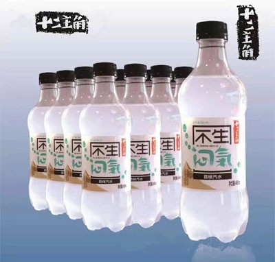 十二主角荔枝汽水碳酸飲料480ml