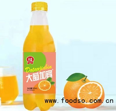 大葡加賓汽水飲料500ml