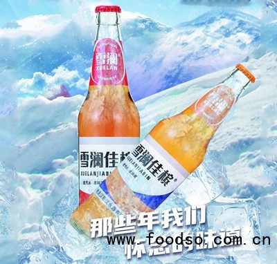 雪瀾佳檳汽水碳酸飲料490ml