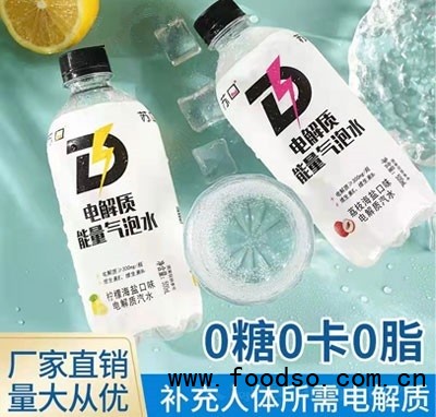 蘇口電解質能量氣泡水電解質汽水500ml